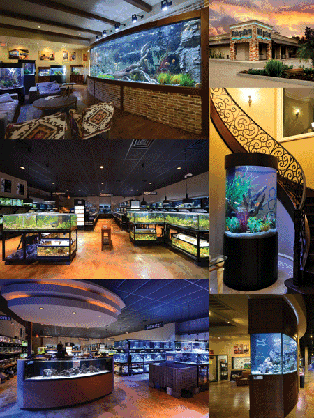 The Aquarium Experience